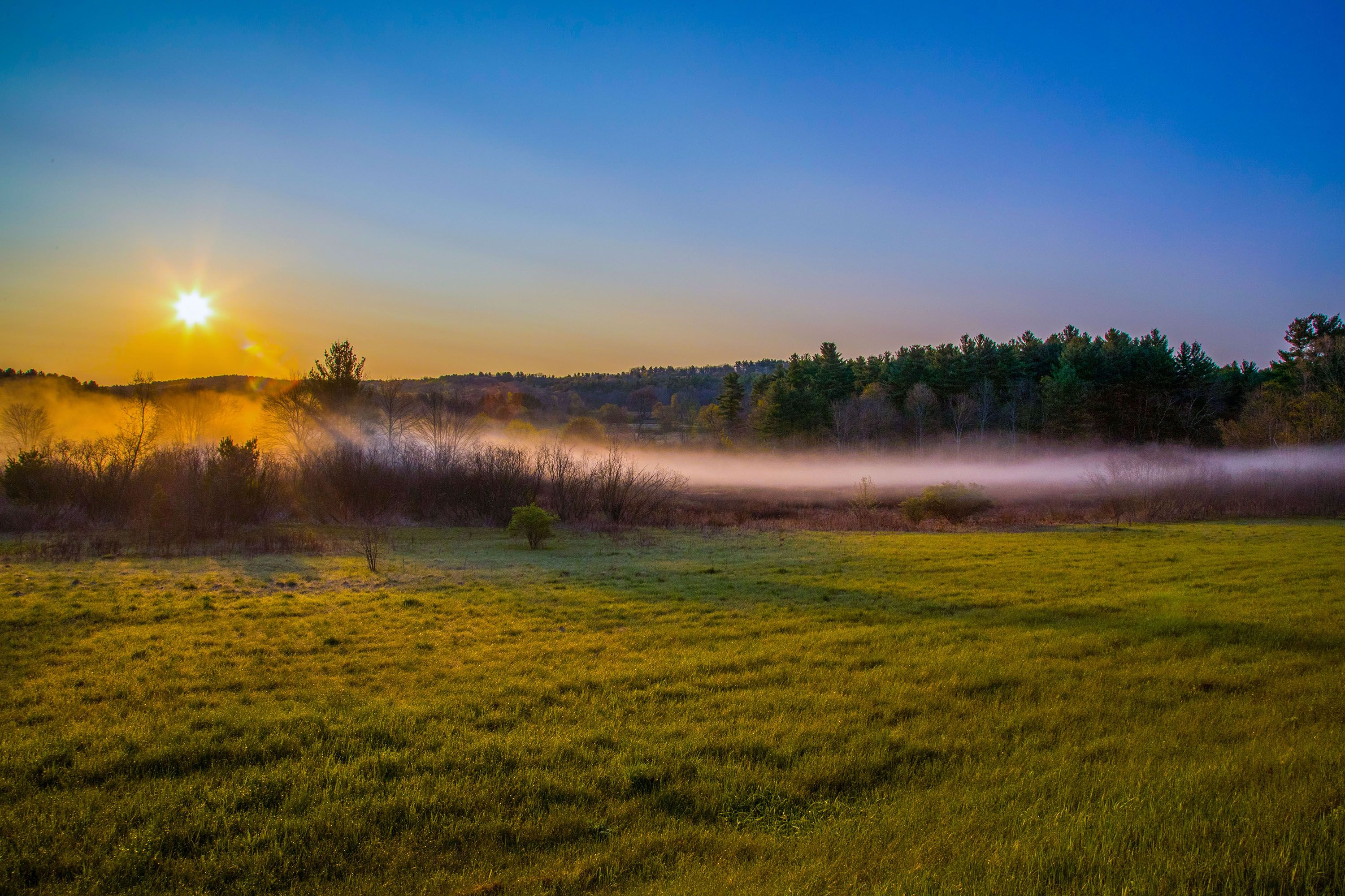 Field at dusk.jpg