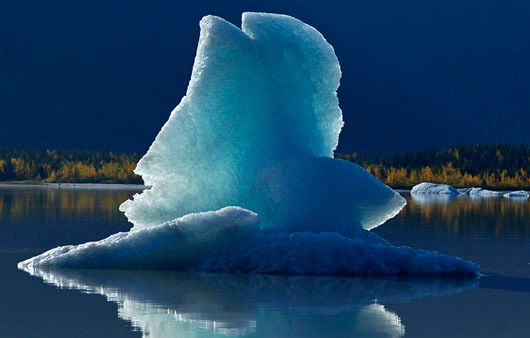 MENDENHALL GLACIER 6
