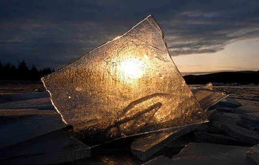MENDENHALL GLACIER 4
