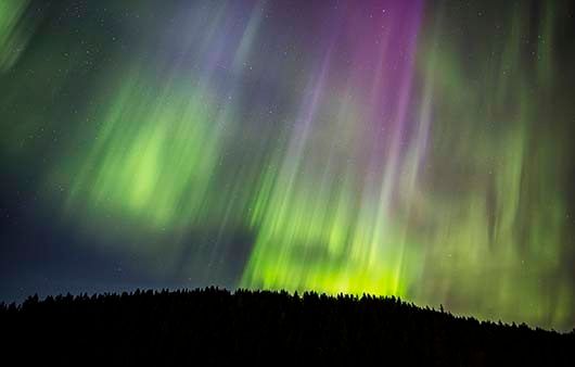 SE ALASKA WILD LANDS 3