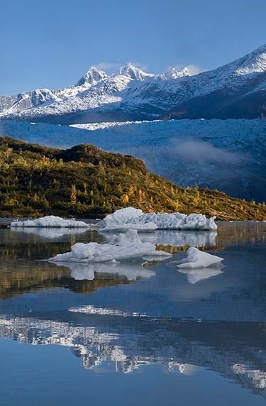 Fall color, Tongass Forest, John Hyde