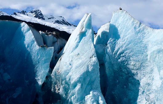 SE ALASKA WILD LANDS 2