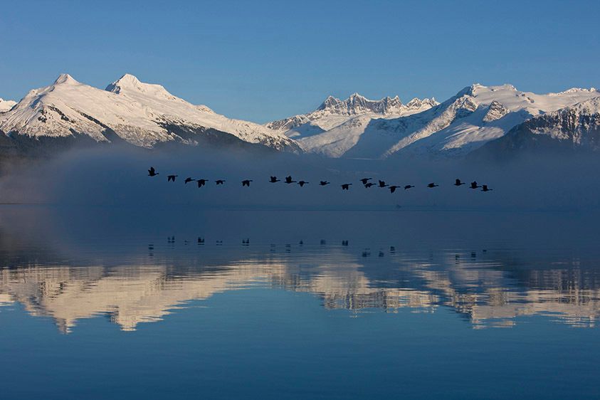 Earley Morning, Mendenhall Wetlands, John Hyde