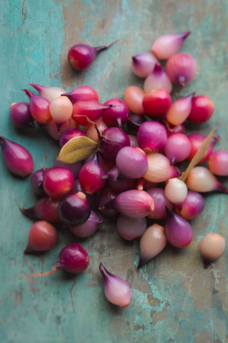 Purple pearl onions on aged rustic copper surface