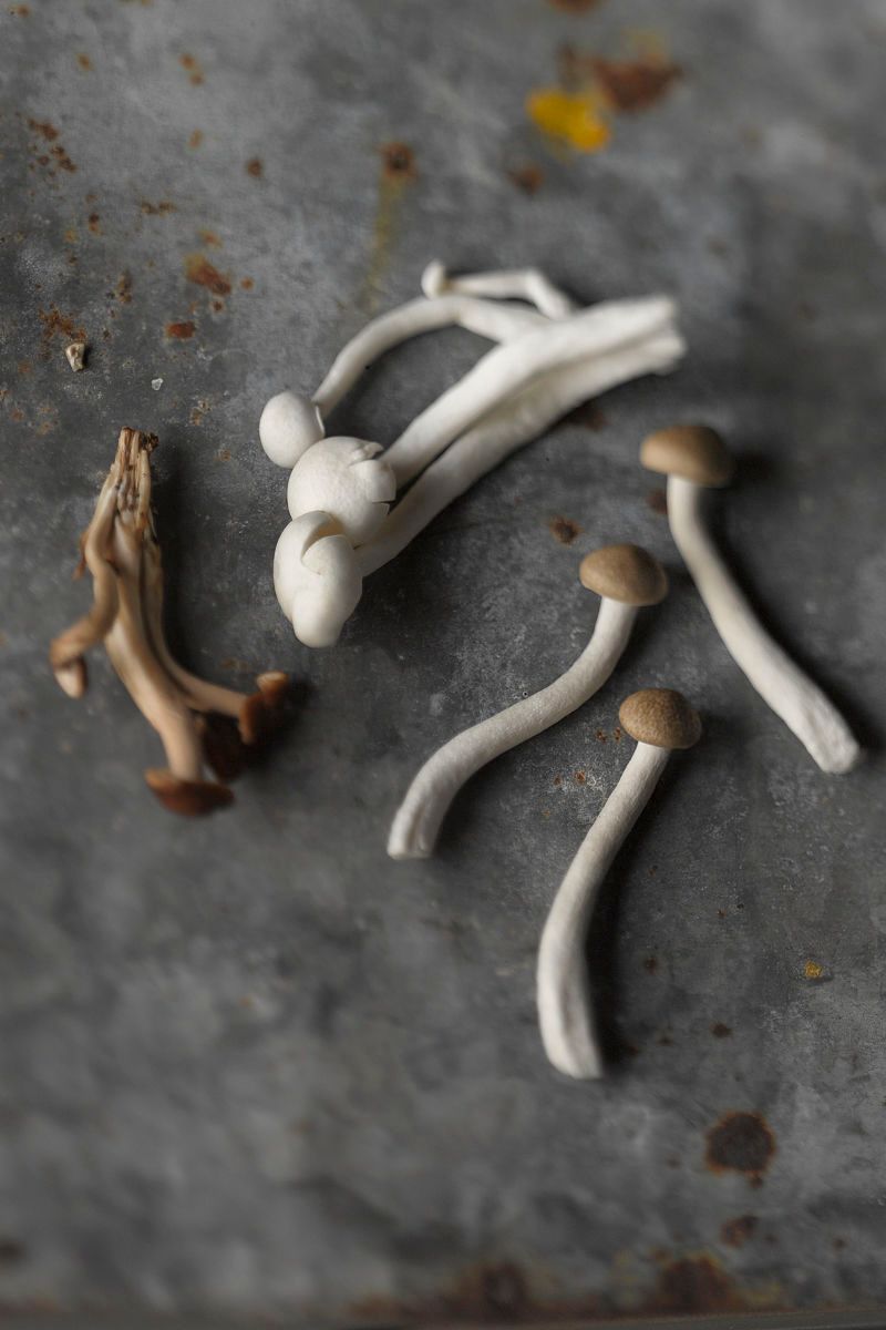 Mushrooms on Rustic Tin