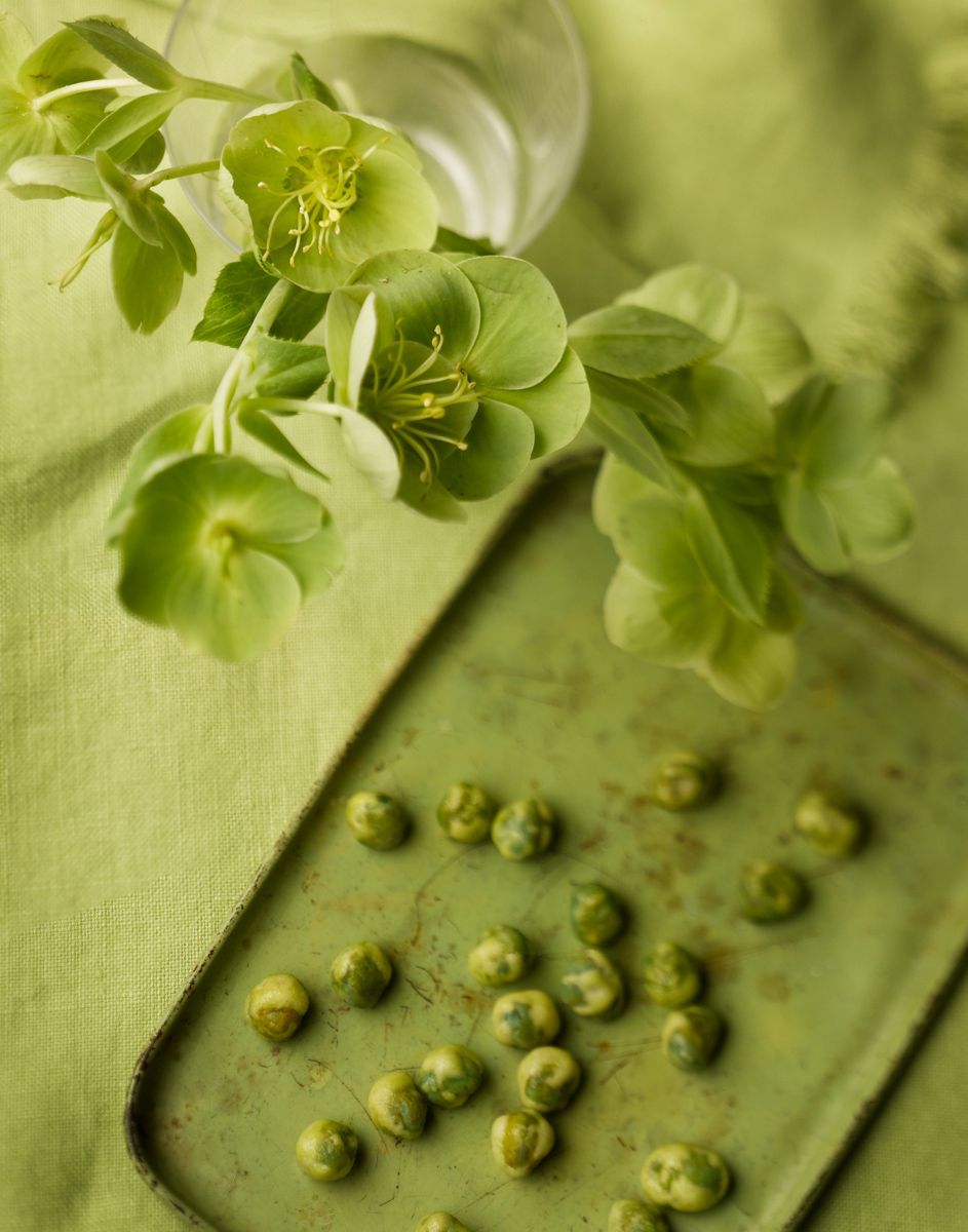 Rustic small green tray with wasabi seeds and green hervibores on green fabric backgroundwww.rkjacobs.comTop Food Photographer New York Seattle PortlandRobert Jacobs Photography ©2013 Rustic small green tray with wasabi seeds and green hervibores on green fabric backgroundwww.rkjacobs.comTop Food Photographer New York Seattle PortlandRobert Jacobs Photography ©2013