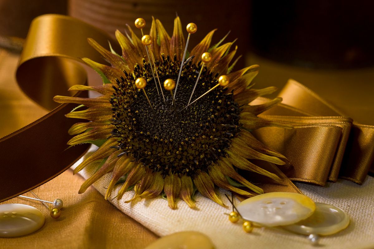 Sunflower used as pin cushion with buttons and ribbons www.rkjacobs.comTop Food Photographer New York Seattle PortlandRobert Jacobs Photography ©2013 Sunflower used as pin cushion with buttons and ribbons www.rkjacobs.comTop Food Photographer New York Seattle PortlandRobert Jacobs Photography ©2013