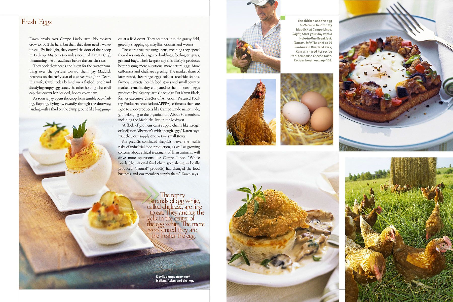 Eggs, white and brown, chickens, deviled eggs in cups, poached eggs for Midwest Living Magazine story on eggs www.rkjacobs.comTop Food Photographer New York Seattle PortlandRobert Jacobs Photography ©2013 Eggs, white and brown, chickens, deviled eggs in cups, poached eggs for Midwest Living Magazine story on eggs www.rkjacobs.comTop Food Photographer New York Seattle PortlandRobert Jacobs Photography ©2013