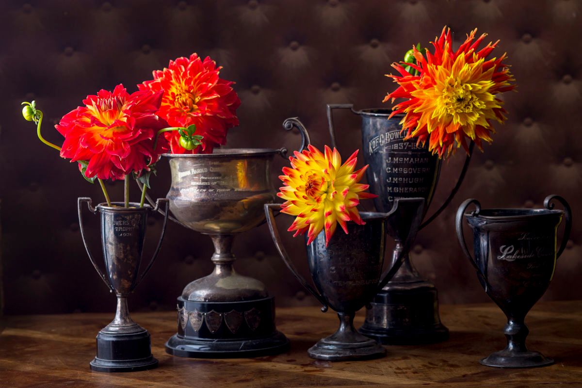 Rustic trophies with dahlias Rustic trophies with dahlias