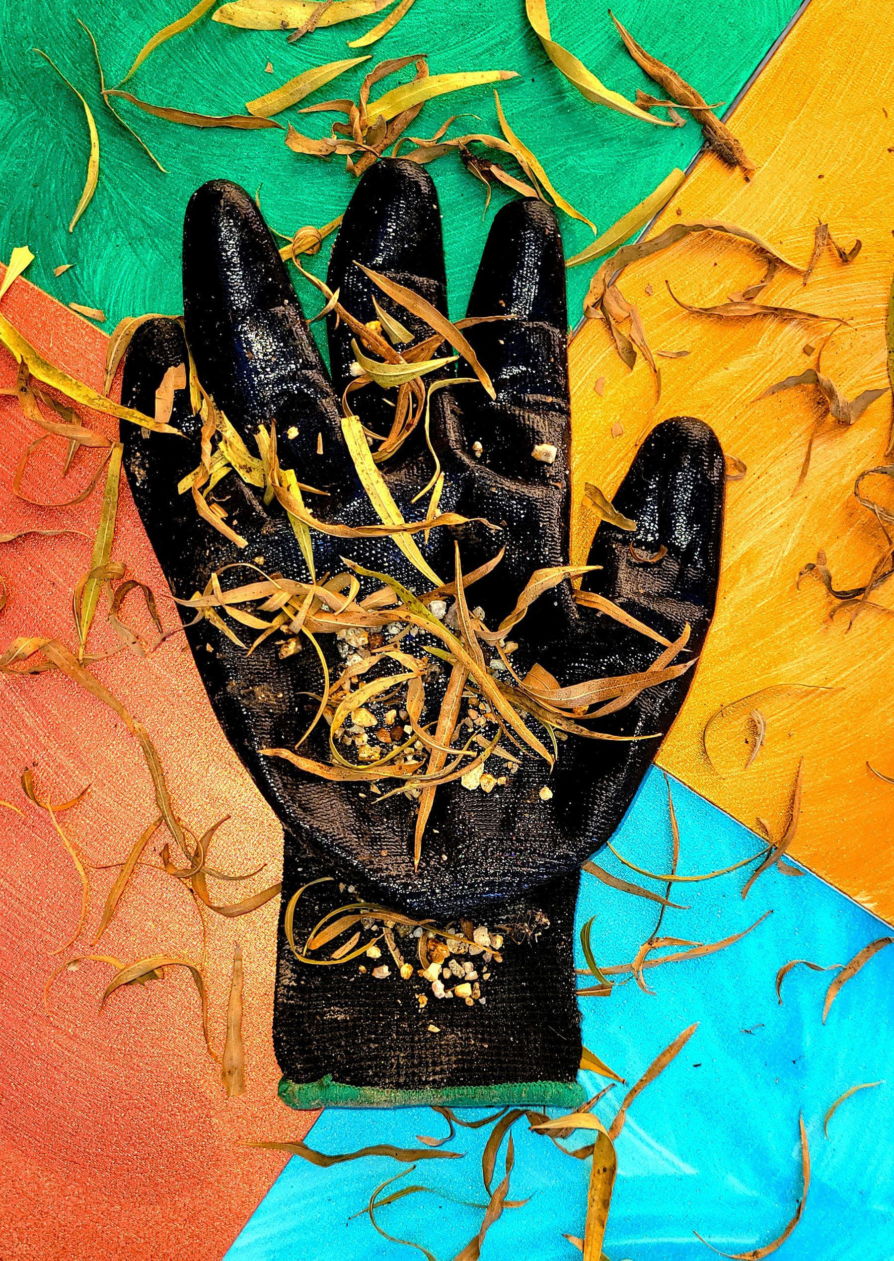 web glove_104606.jpg