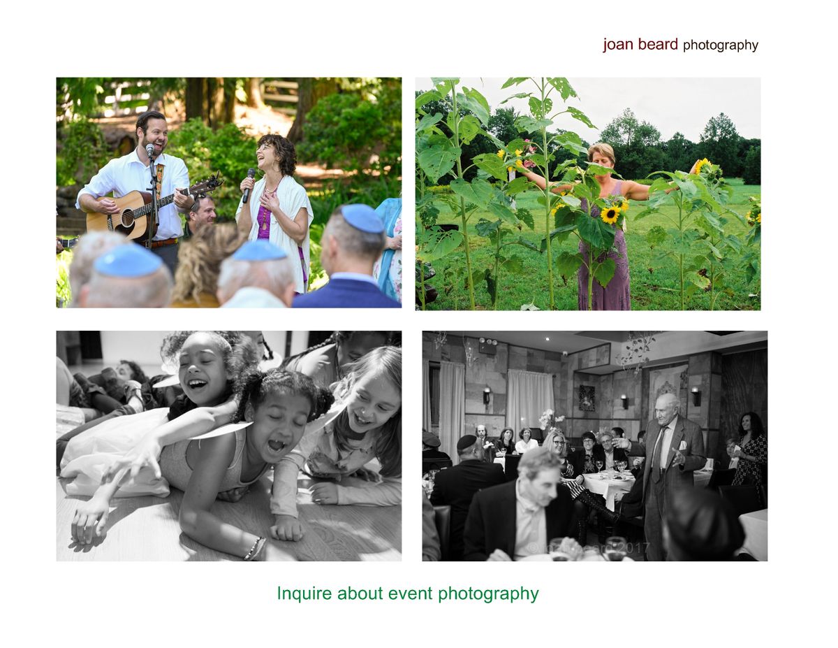 joan beard Portrait brochure 2026 7.jpg