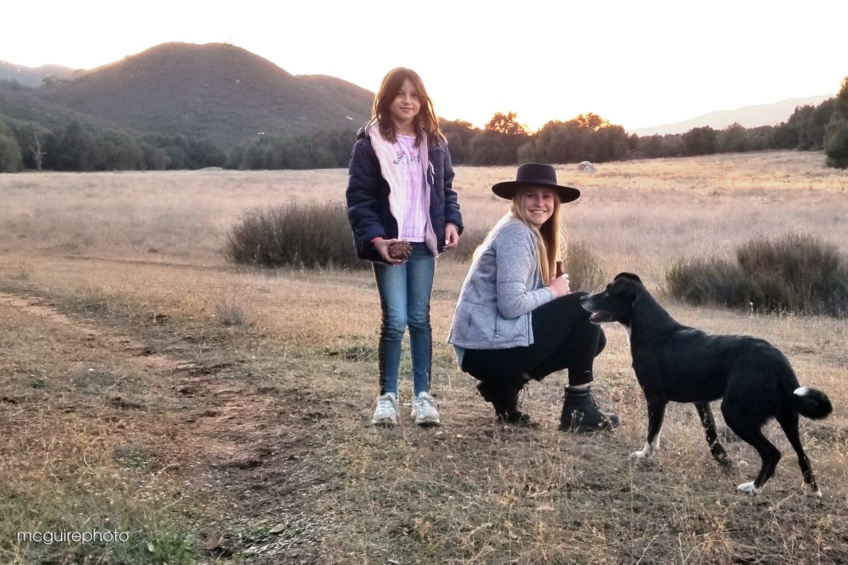 Marley Annie Loki Web1.jpg