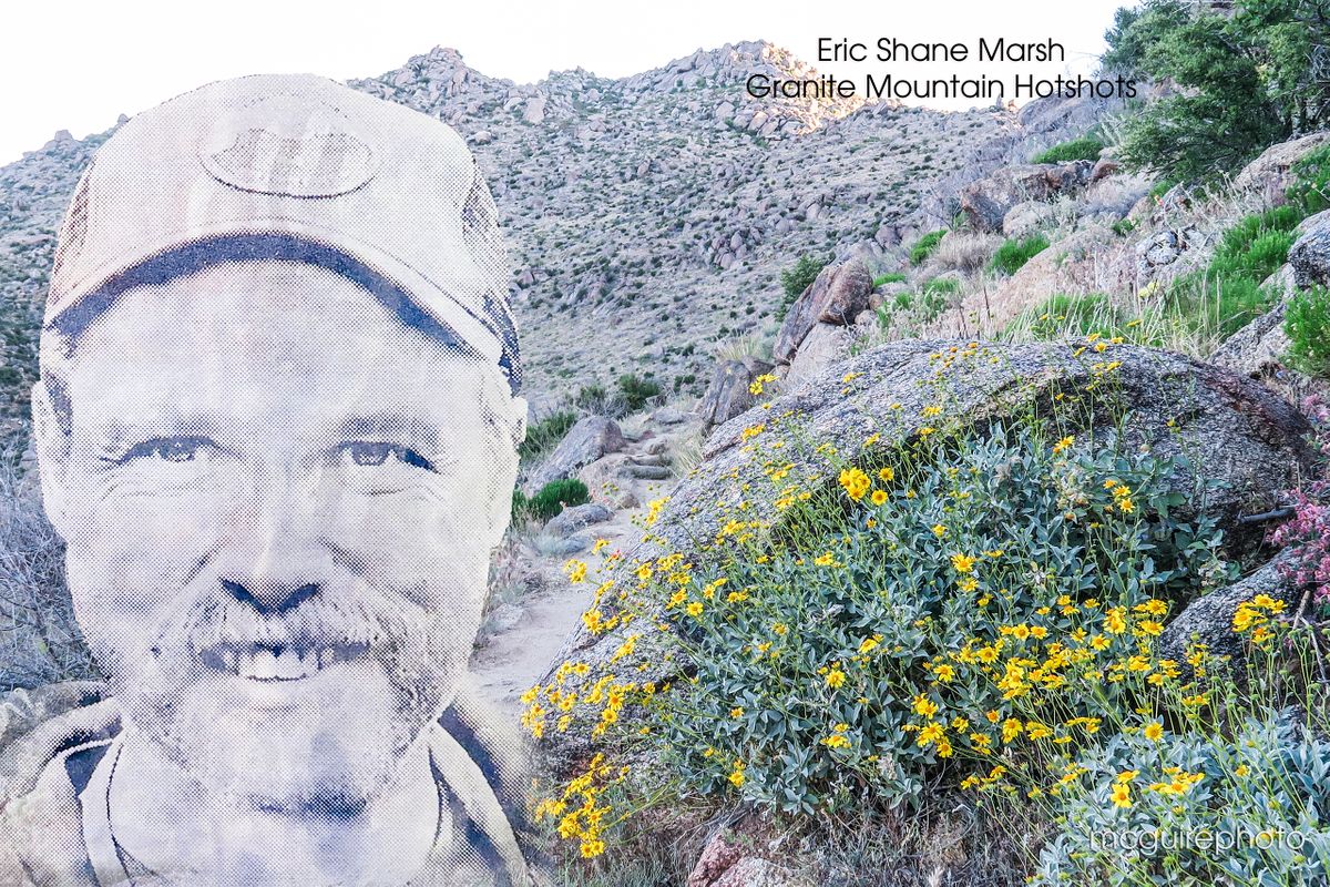 Montage Eric Marsh Web1.jpg