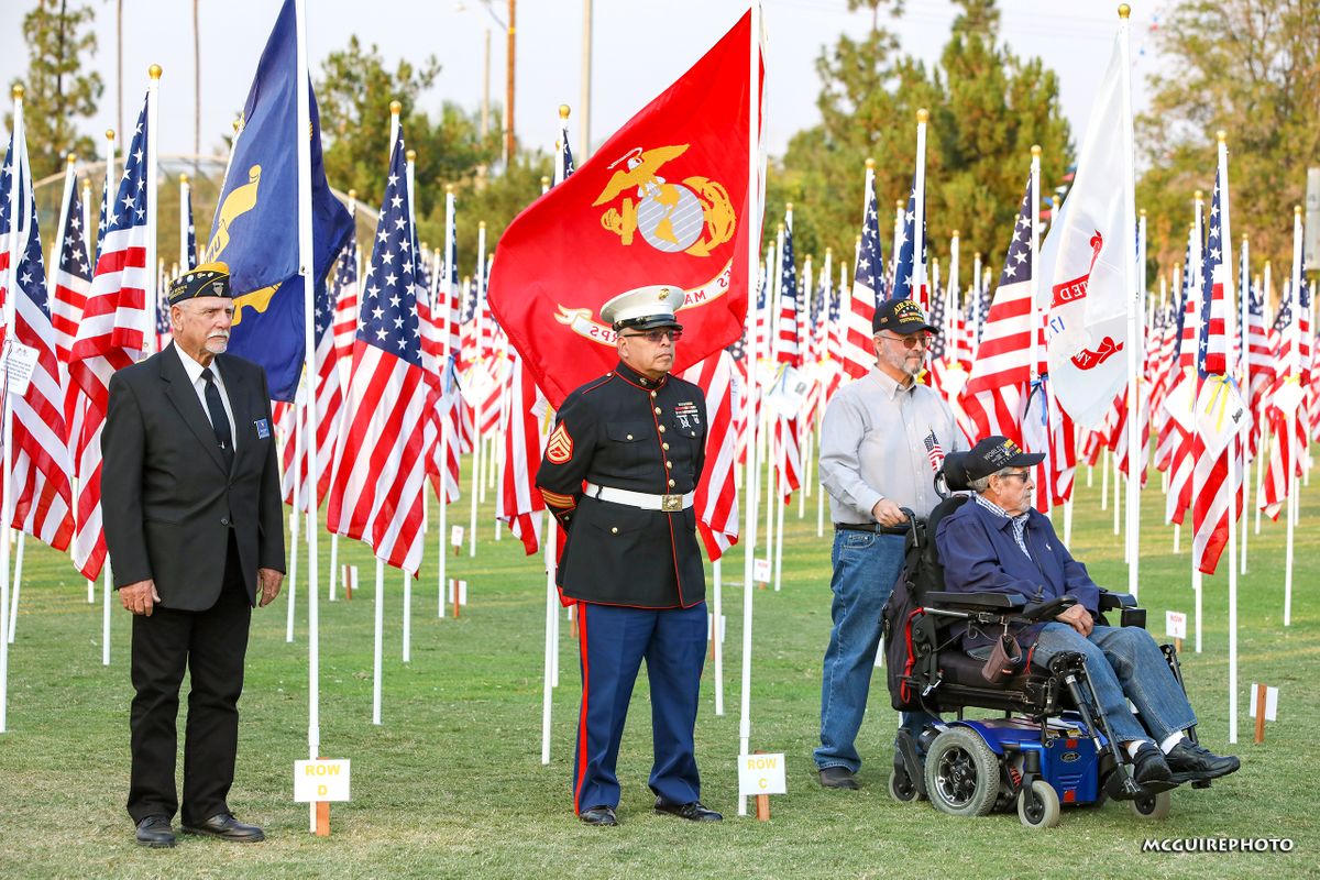 Veterans Day FOV WEB2.jpg