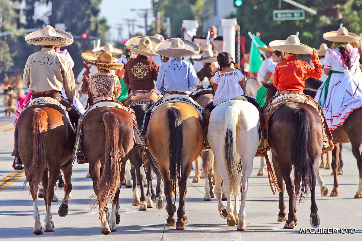 FIESTAS PATRIAS WEB13.jpg