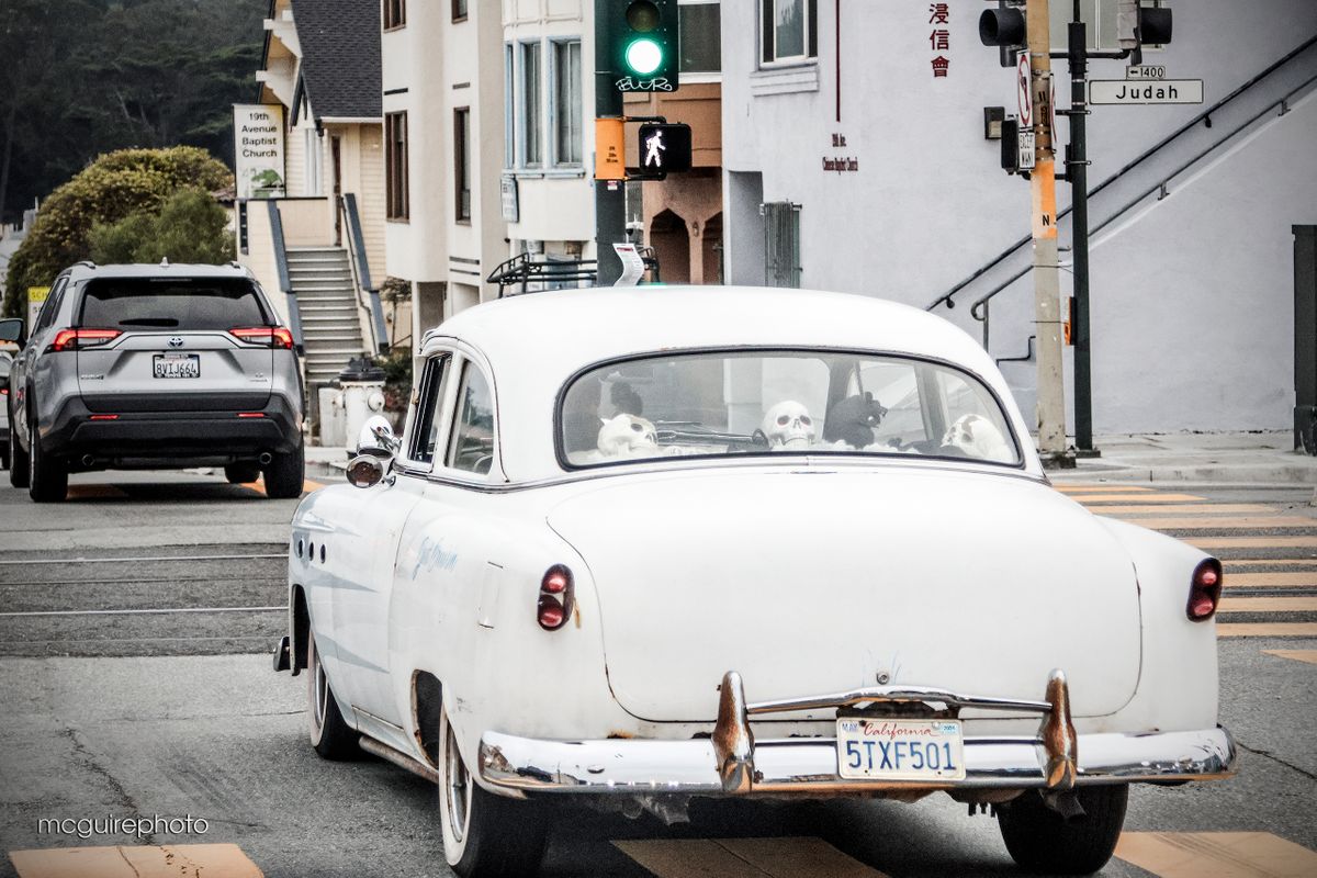 Central Coast 2023 Web04.jpg