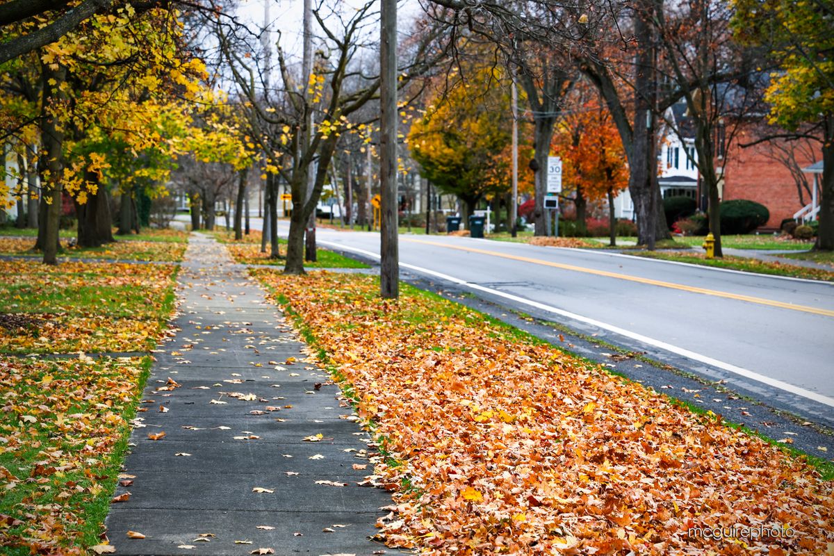 Scottsville Spencerport NY Nov 2024 Web094.jpg