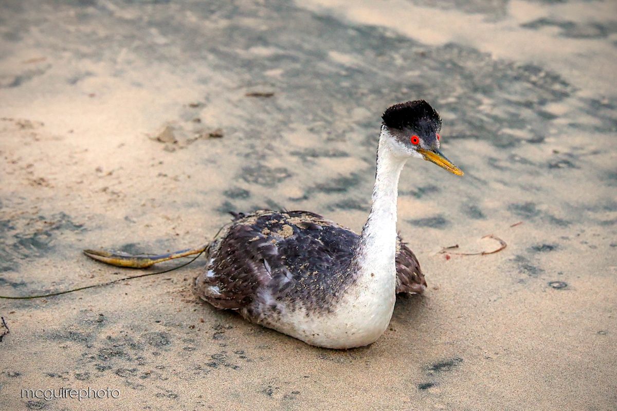 Website Winter Web74.jpg