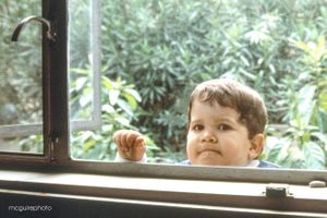 Stephen McGuire Web01.jpg