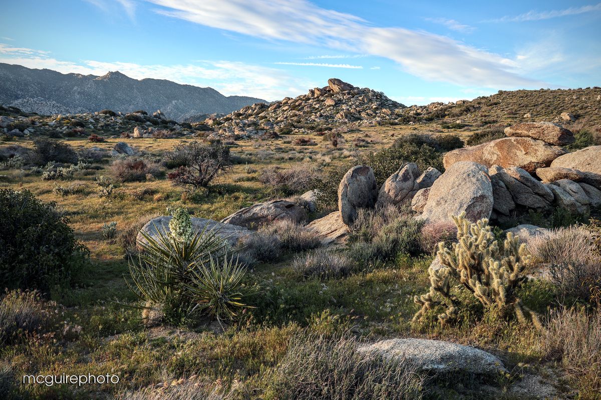 On The Border Web41.jpg