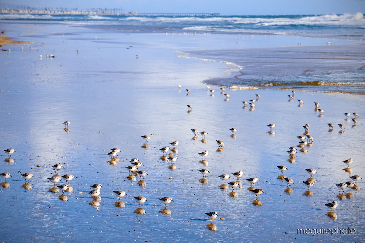 Website Winter Web59.jpg