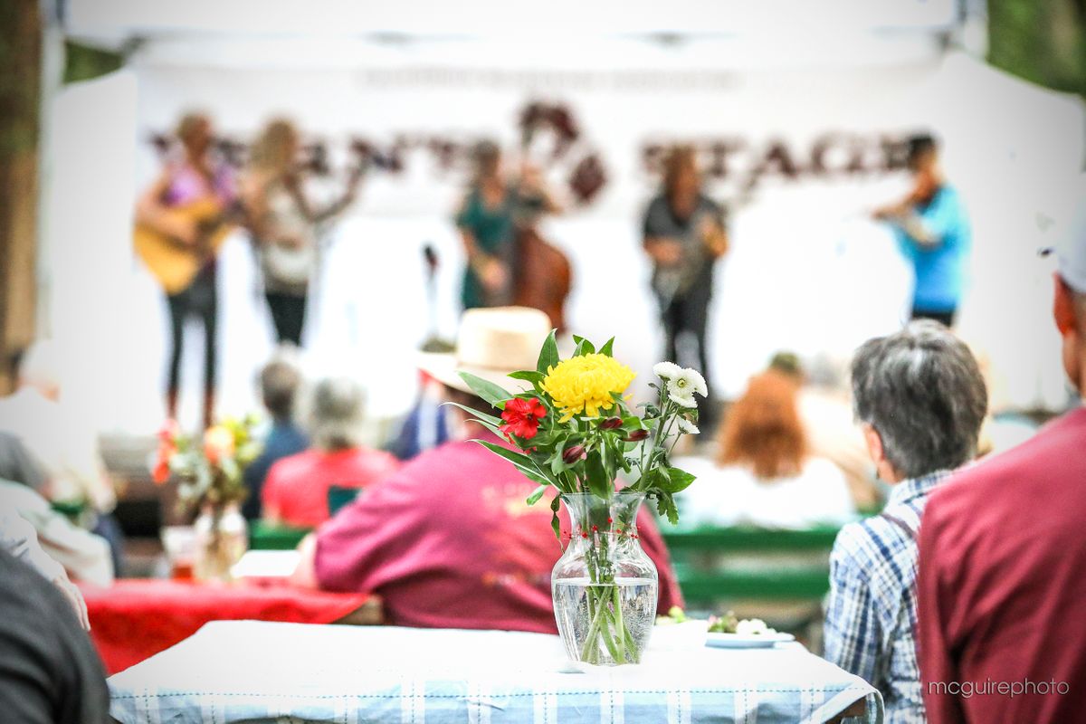 Grass Valley Bluegrass 2022 WebP20.jpg