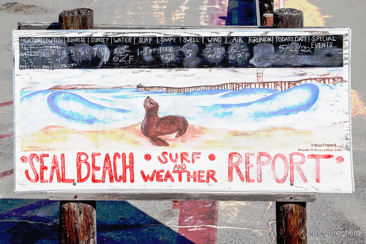 Seal Beach Surf Report Web1.jpg