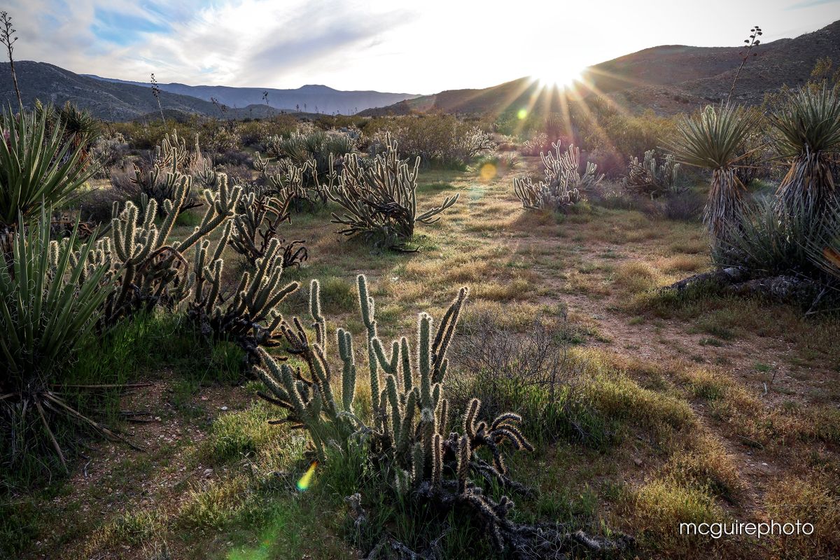 On The Border Web20.jpg