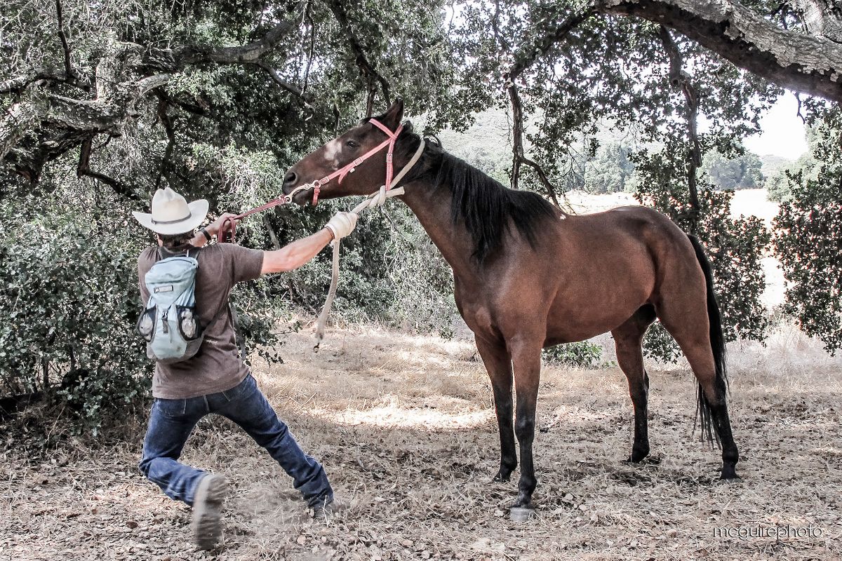 Phil and Chester the Horse Web1.jpg