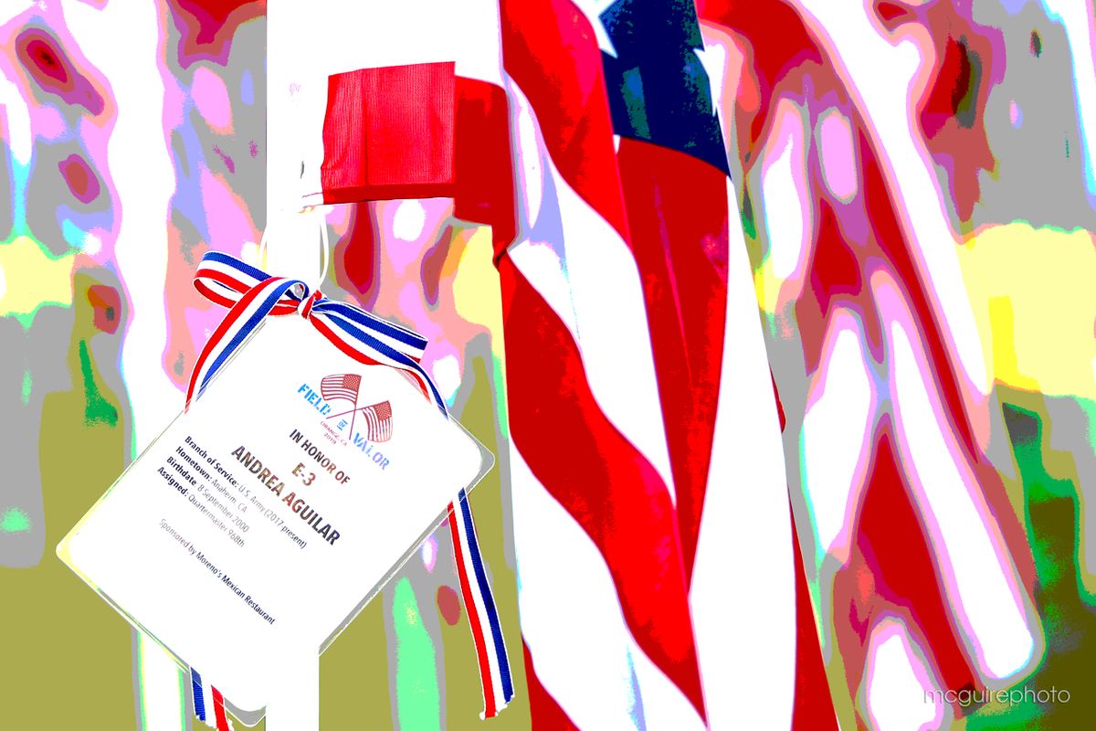 Veterans Day Gallery Web106.jpg