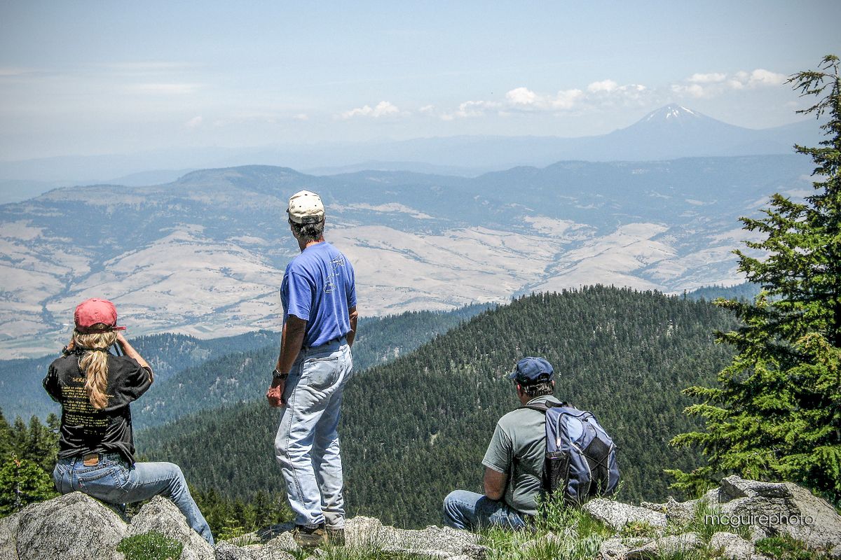 Star Meadow Vista Web1.jpg