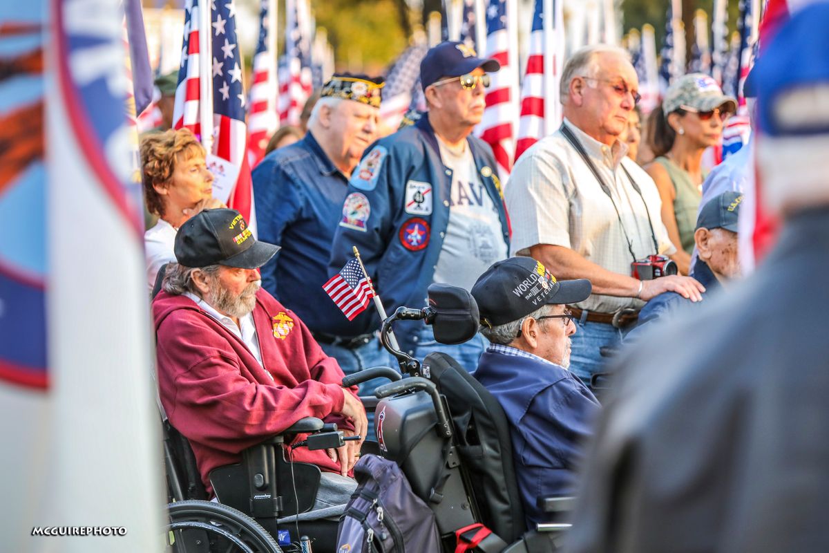 Veterans Day FOV WEB1.jpg