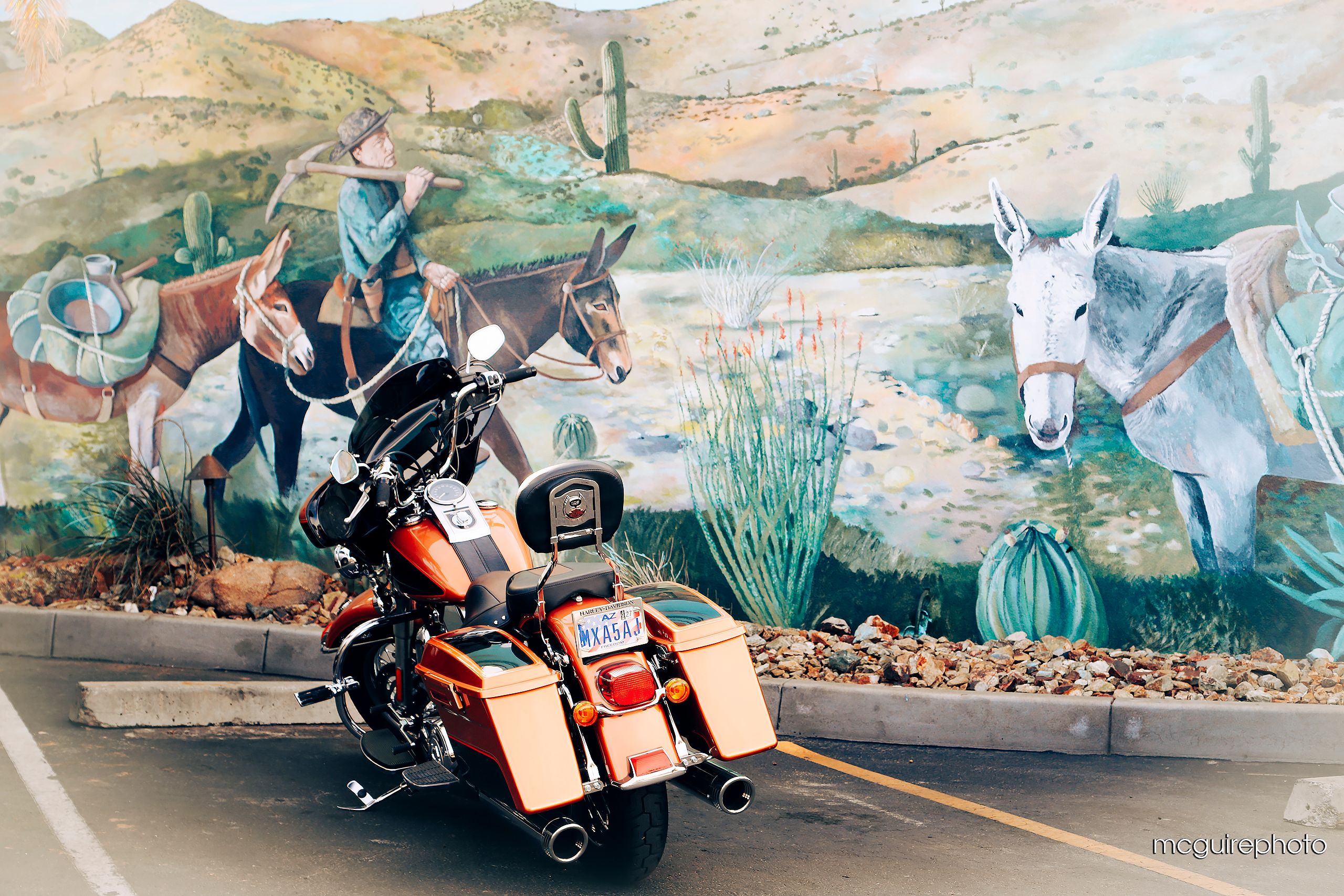 Harley Mule Wickenberg Web1.jpg