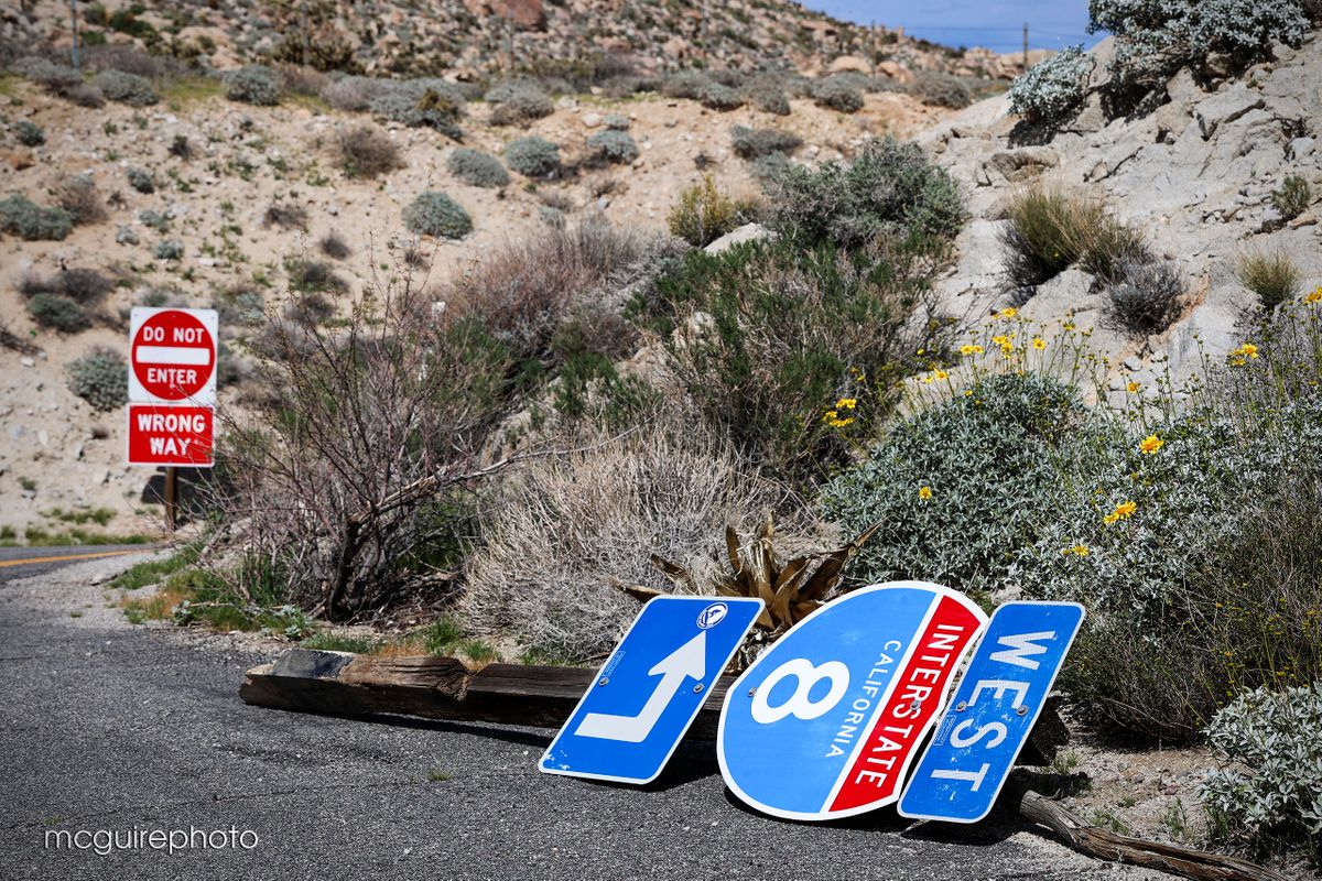 On The Border Web16.jpg