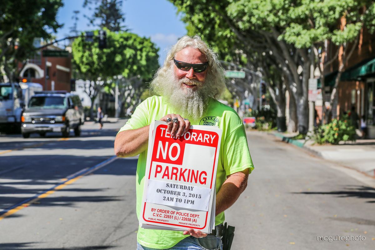 Leo Parking Control Web1.jpg