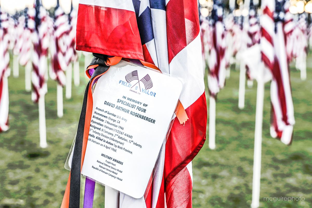 Veterans Day Gallery Web117.jpg