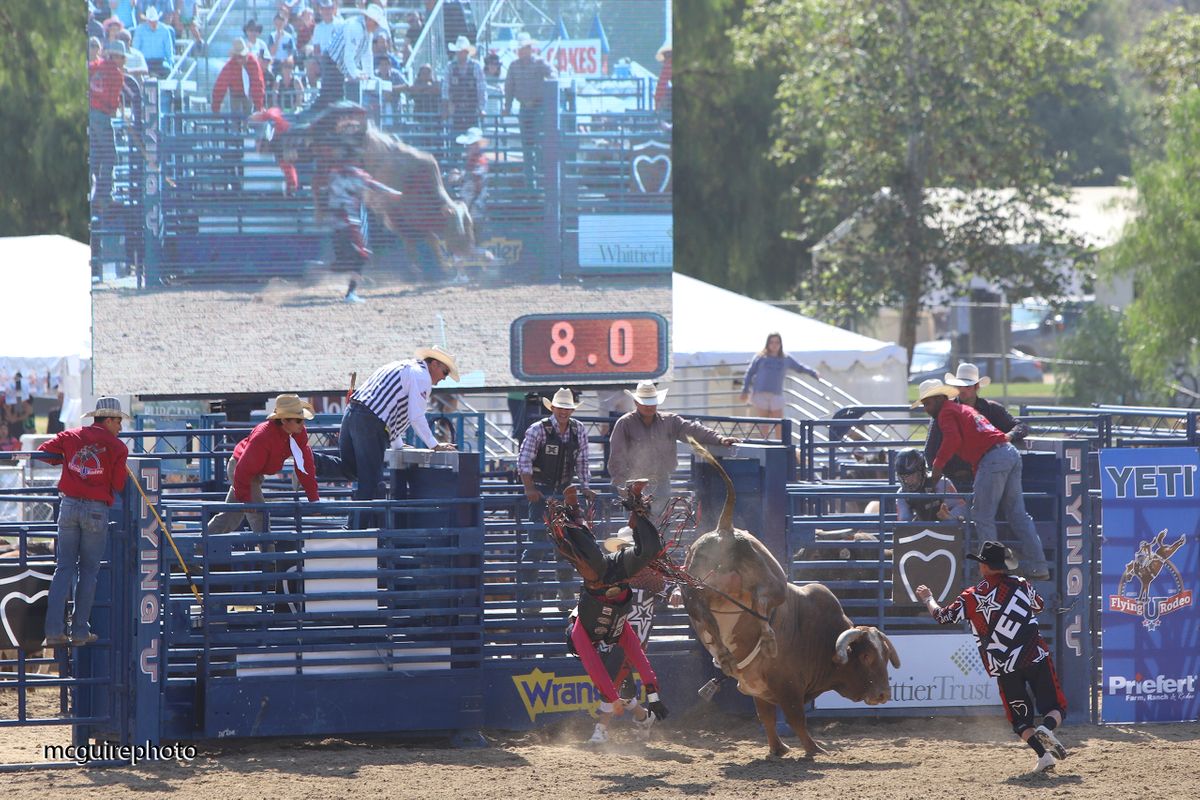 RMV Rodeo WEB228.jpg