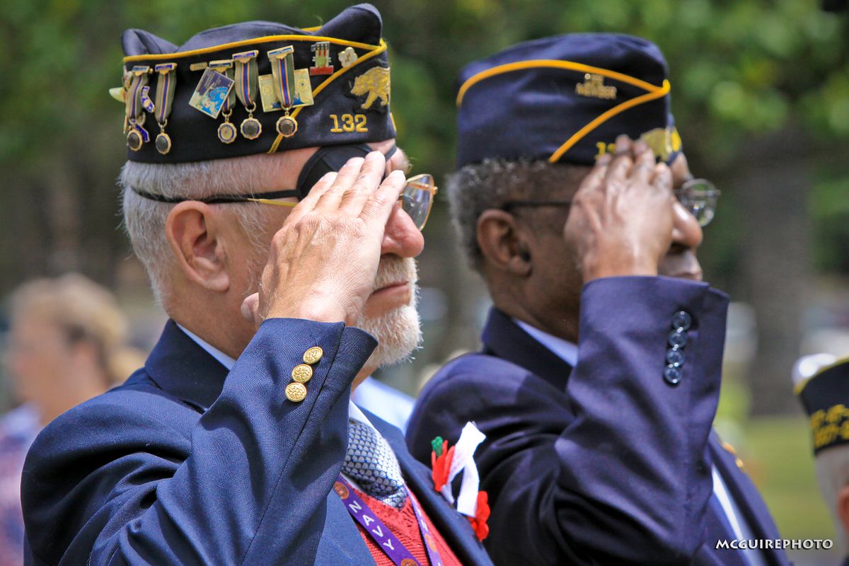 Veterans Day Salute WEB1.jpg