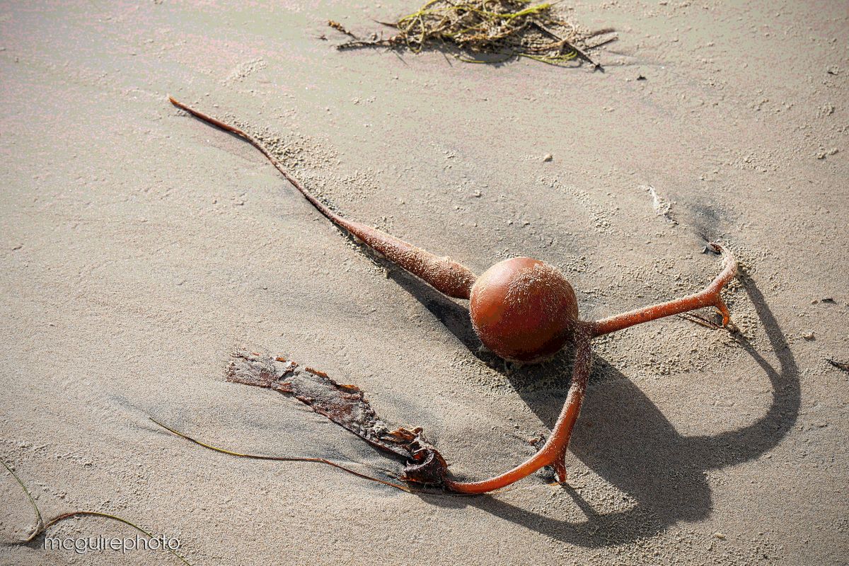 Website Winter Web61.jpg