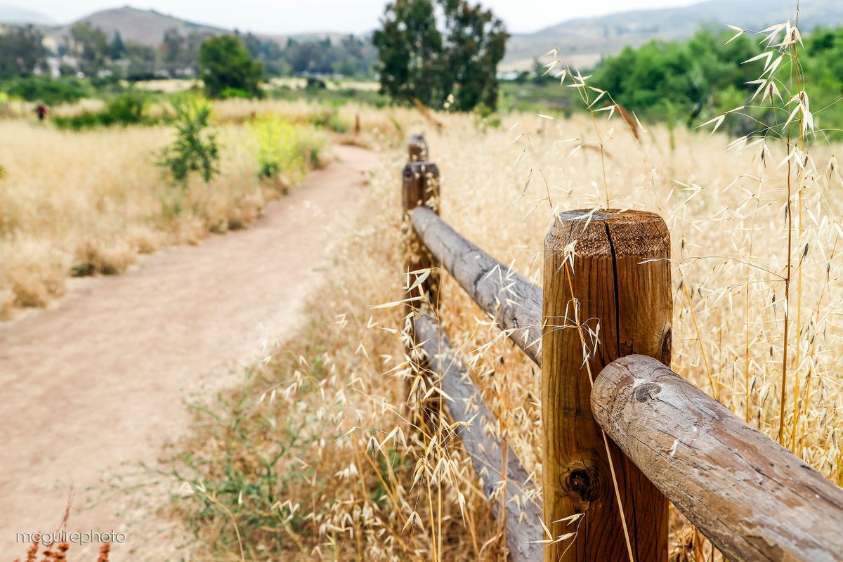 Trail Fence Web1.jpg