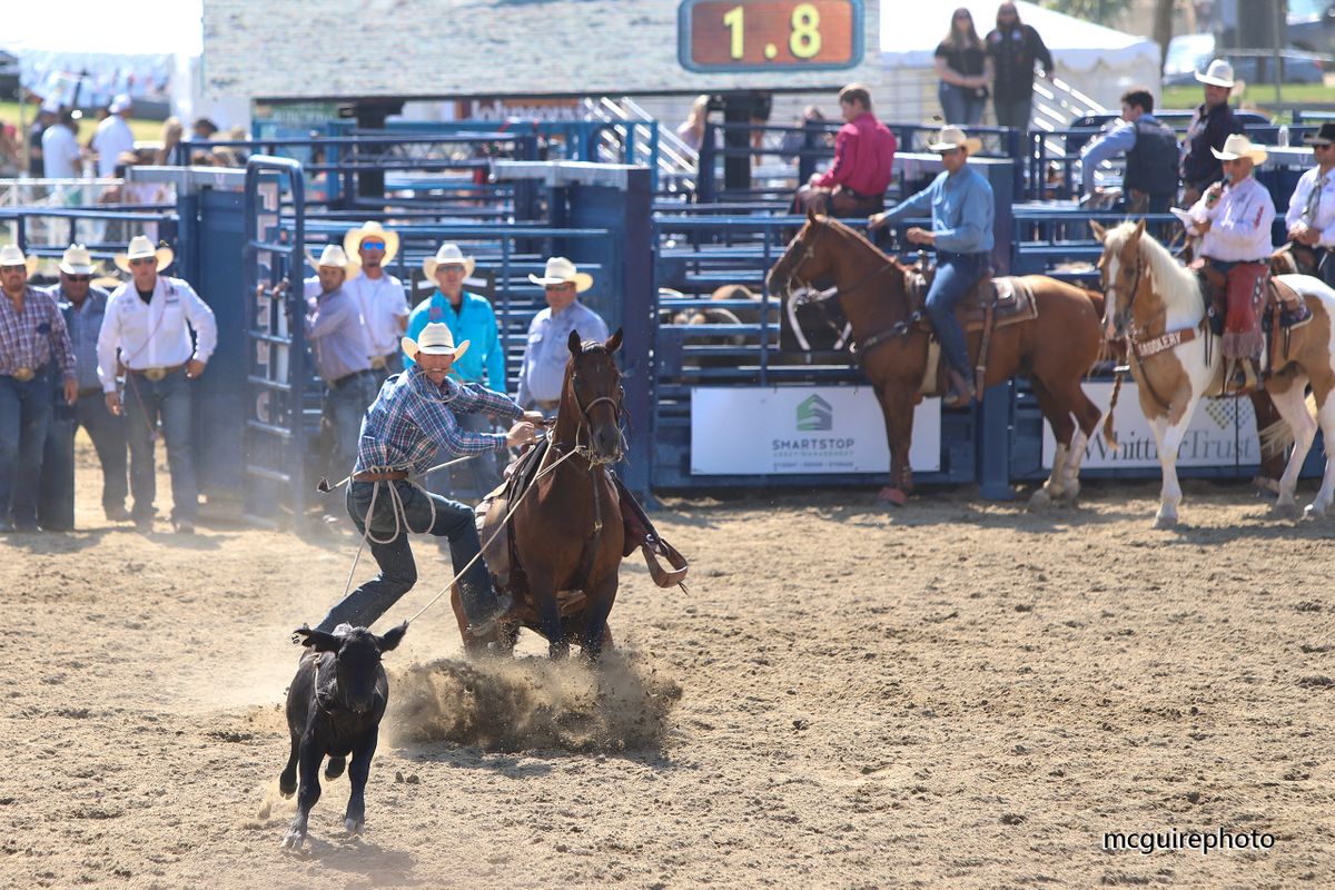 RMV Rodeo WEB217.jpg
