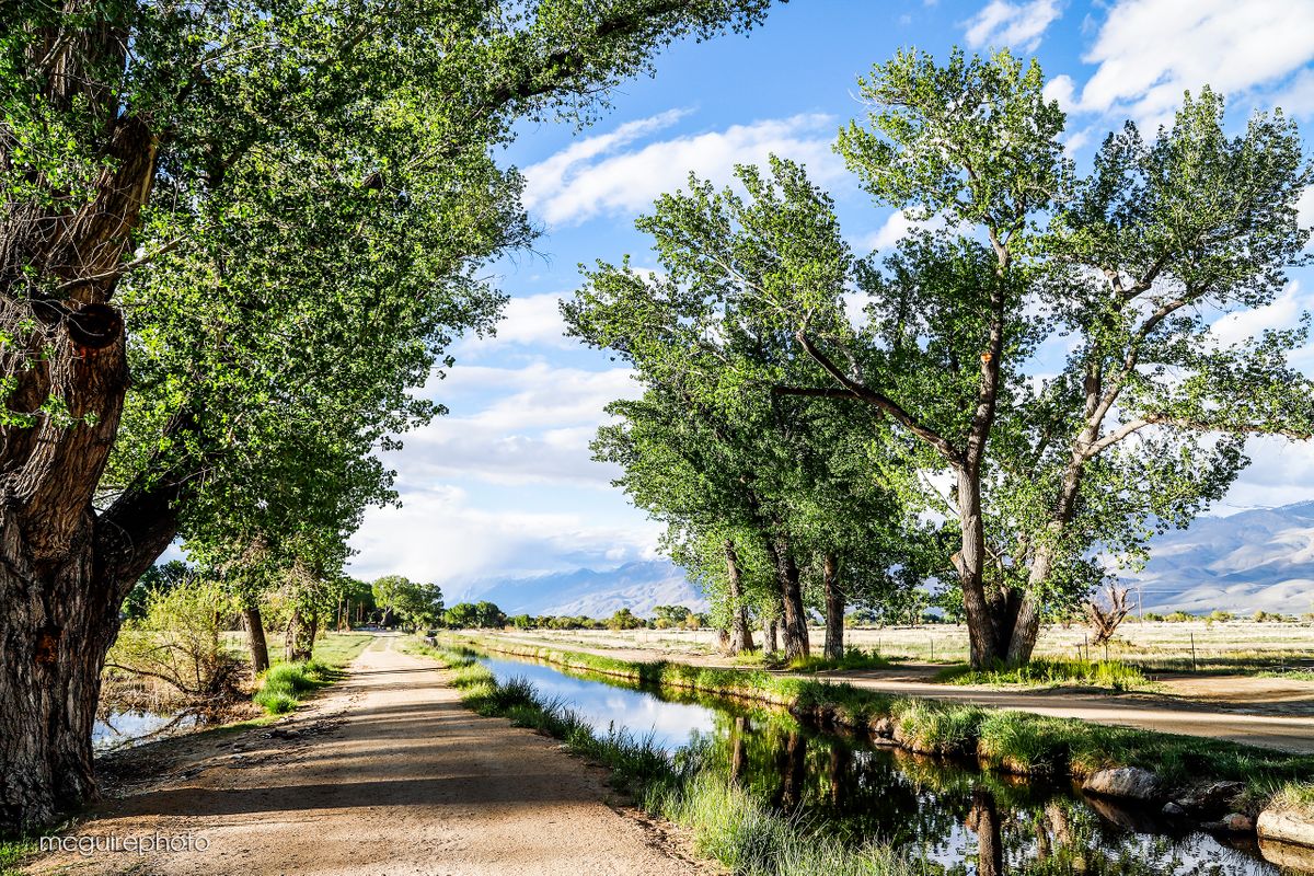 Bishop Canal Web1.jpg