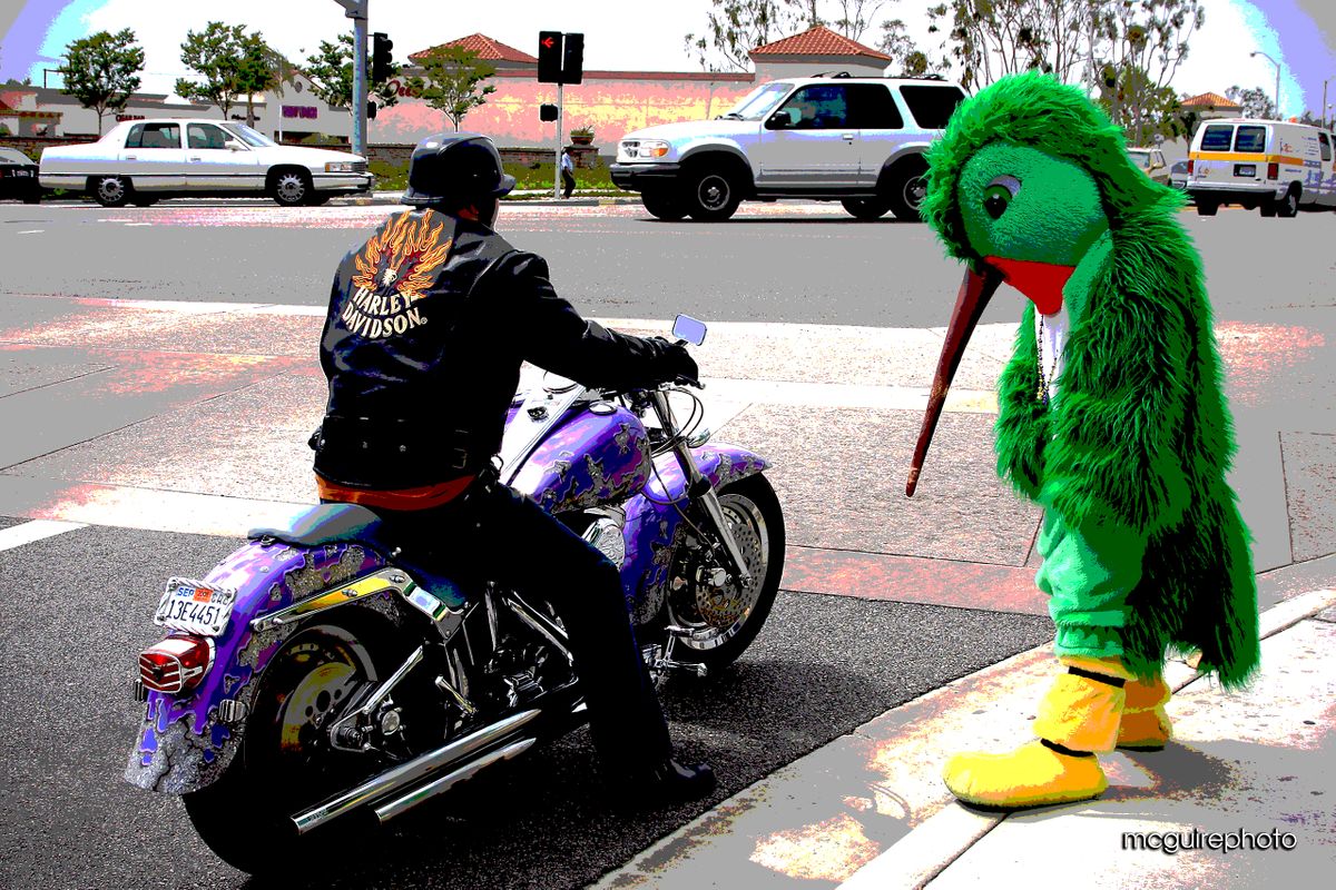 Website Shuffle 2019 WEB12.jpg