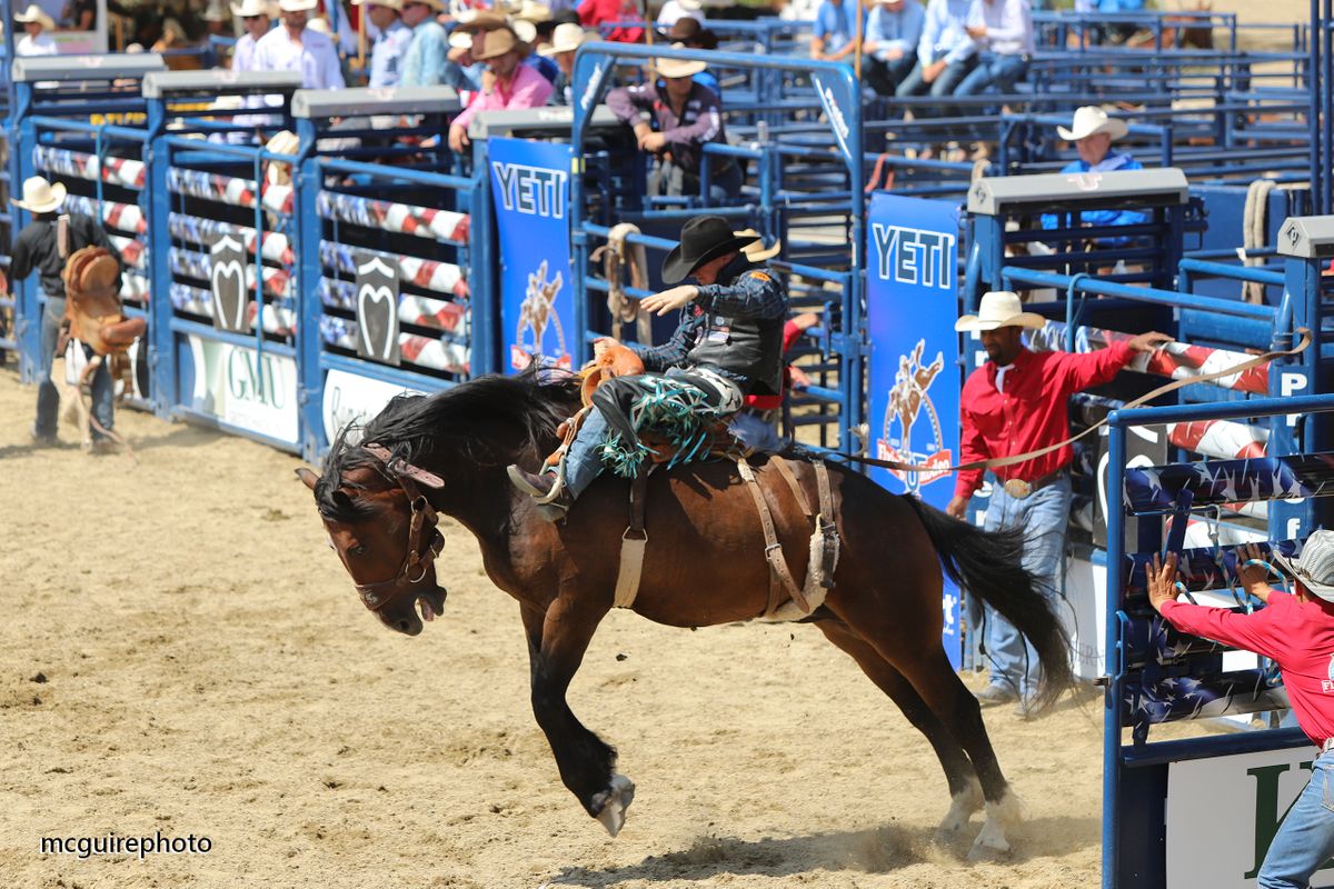 RMV Rodeo WEB124.jpg