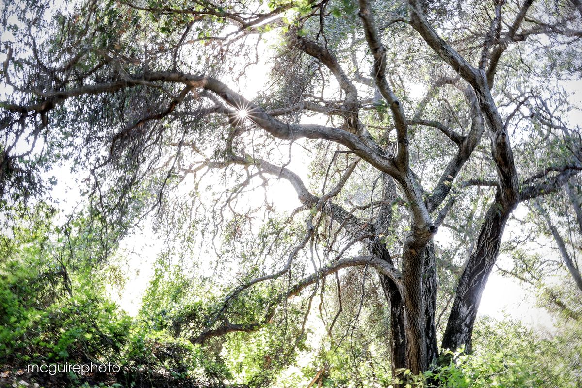 On The Border Web43.jpg