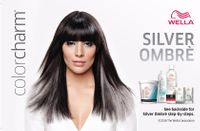 Latina model with black and silver ombre hair for Wella Color Charm advertisement, Wendy Hope Photography, Beauty Photographers