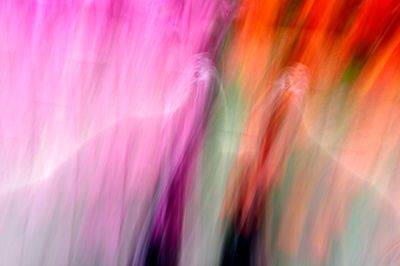You'll Never Guess What She Texted Now III, 2021 Keukenhof.blur-86.jpg
