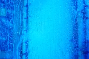 W24A5833.jpg