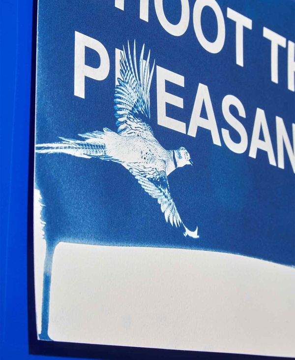 ShootthePheasants.-1.jpg