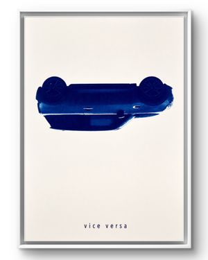 viceversa.framed(1)_livebooks.jpg